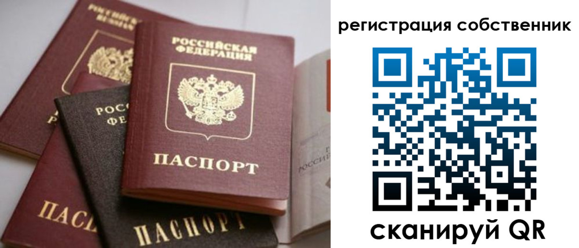 временная регистрация поиск в Железногорске